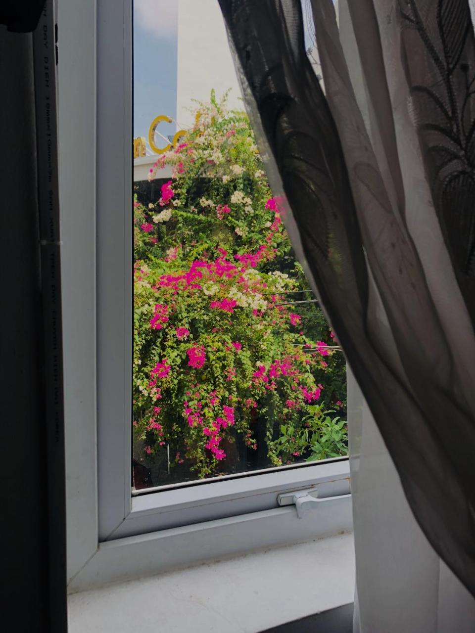 Tuong Van Homestay ダナン市 エクステリア 写真